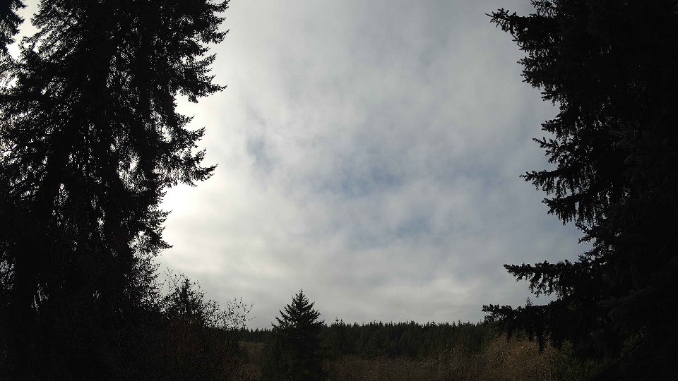 Pacific Northwest skyline timelapse frame from Nov 22nd, 2025 at 11:00 AM