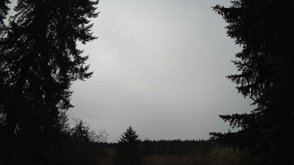 Pacific Northwest skyline timelapse frame from Nov 22nd, 2025 at 11:30 AM
