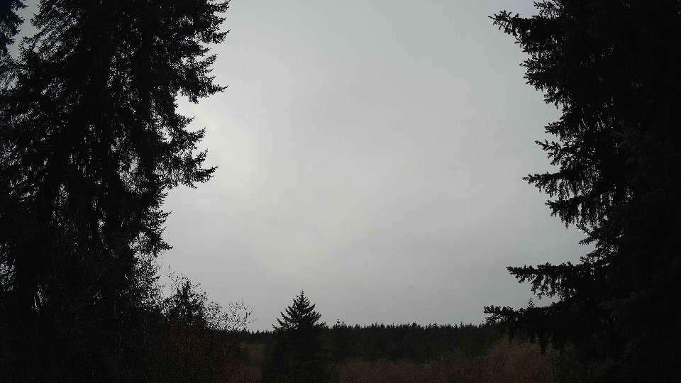Pacific Northwest skyline timelapse frame from Nov 22nd, 2025 at 12:30 PM