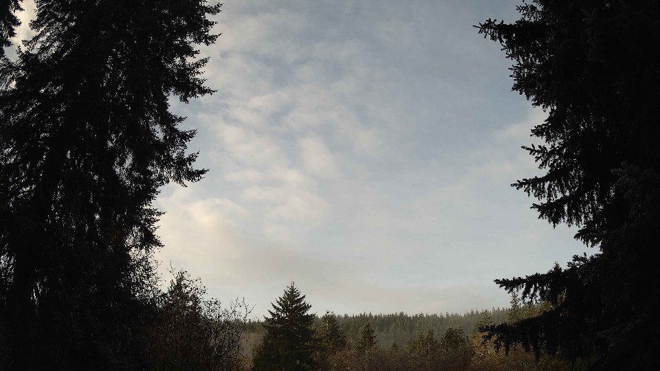 Pacific Northwest skyline timelapse frame from Nov 24th, 2025 at 8:45 AM