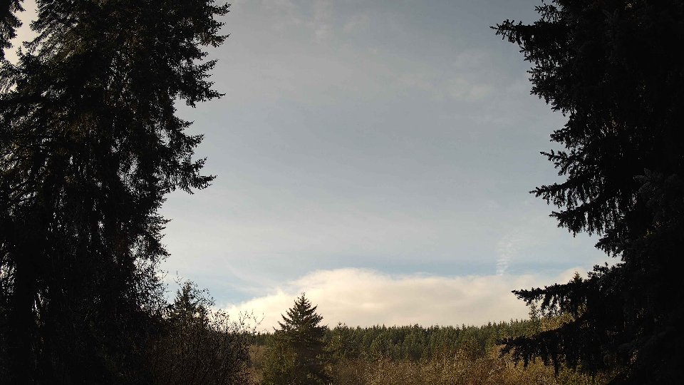 Pacific Northwest skyline timelapse frame from Nov 24th, 2025 at 10:00 AM