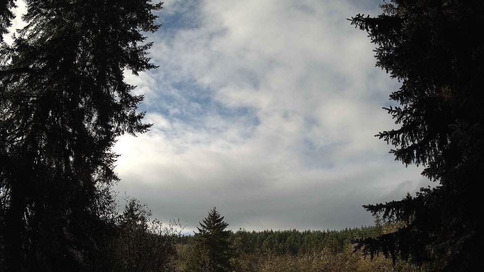 Pacific Northwest skyline timelapse frame from Nov 24th, 2025 at 10:30 AM