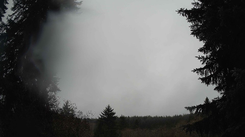 Pacific Northwest skyline timelapse frame from Nov 26th, 2025 at 8:30 AM