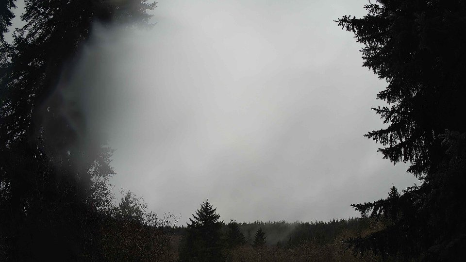 Pacific Northwest skyline timelapse frame from Nov 26th, 2025 at 8:45 AM