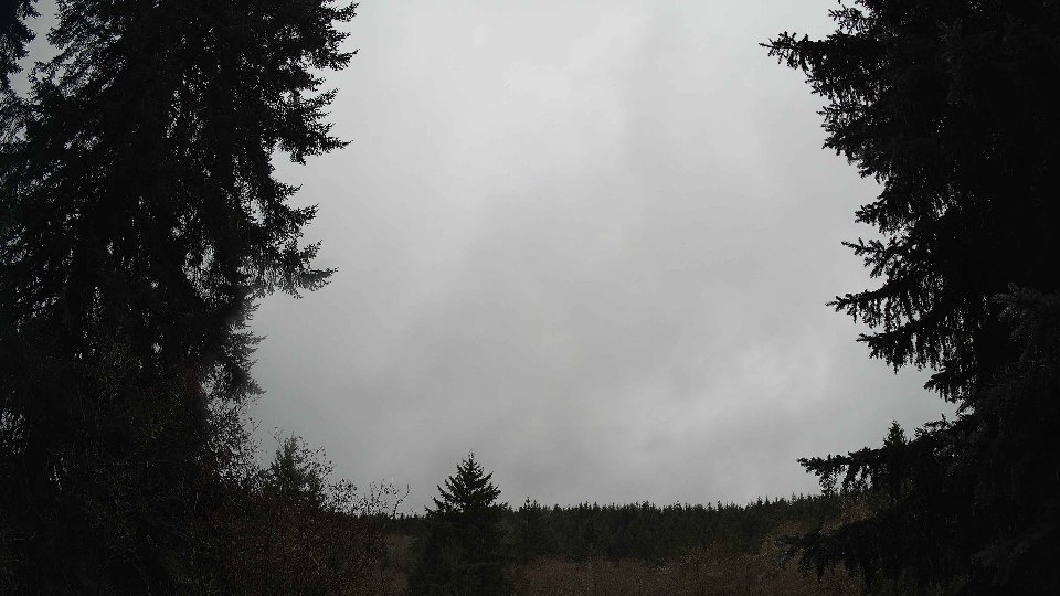 Pacific Northwest skyline timelapse frame from Nov 26th, 2025 at 11:15 AM