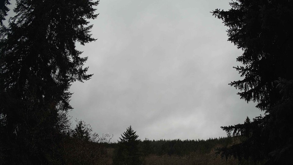 Pacific Northwest skyline timelapse frame from Nov 26th, 2025 at 11:45 AM