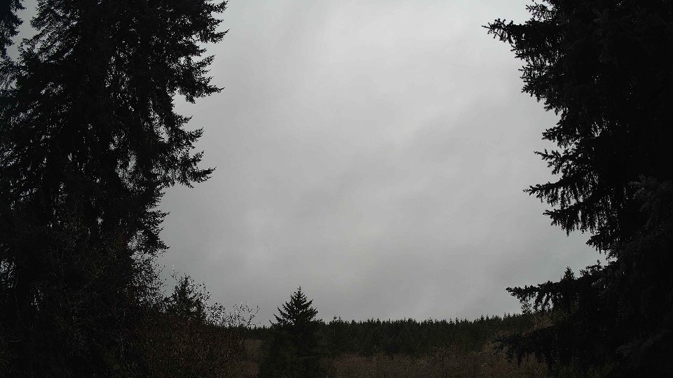 Pacific Northwest skyline timelapse frame from Nov 26th, 2025 at 12:30 PM