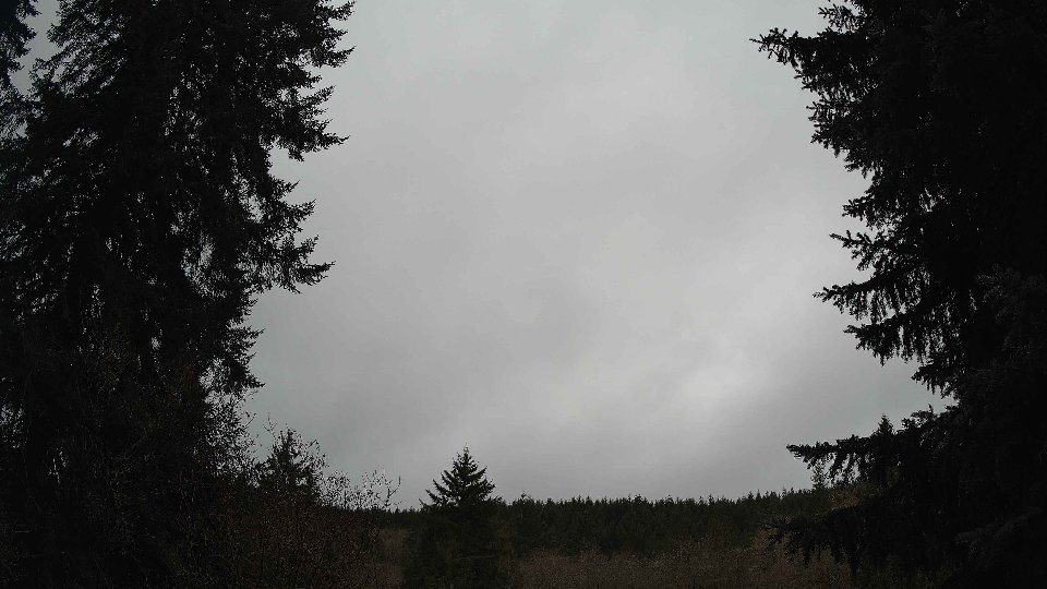 Pacific Northwest skyline timelapse frame from Nov 26th, 2025 at 1:30 PM
