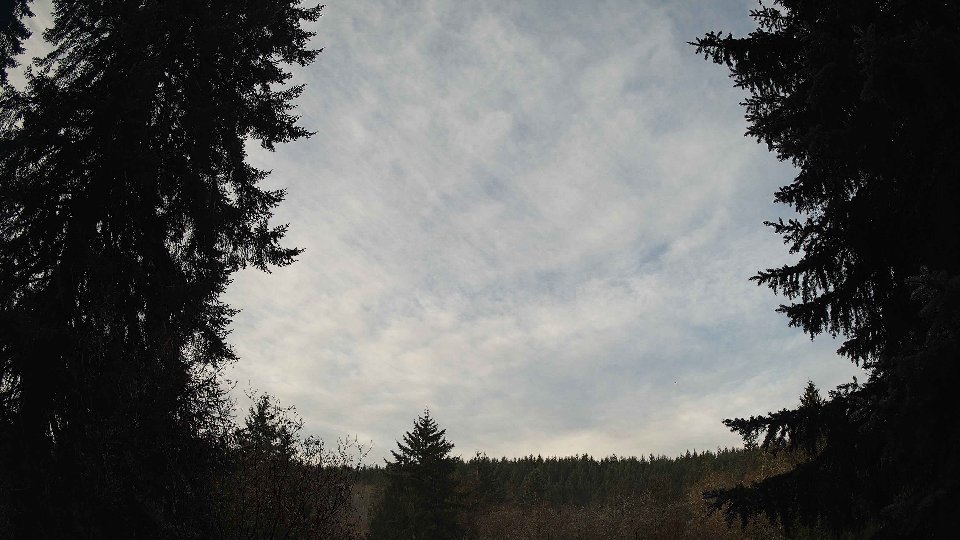 Pacific Northwest skyline timelapse on Nov 29, 2025 at 8:30 AM