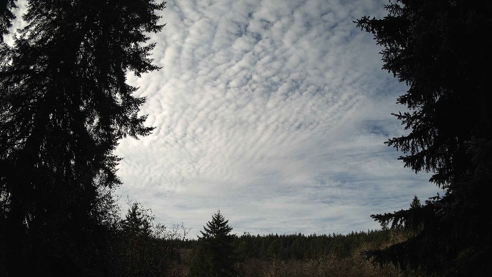 Pacific Northwest skyline timelapse on Nov 29, 2025 at 10:45 AM