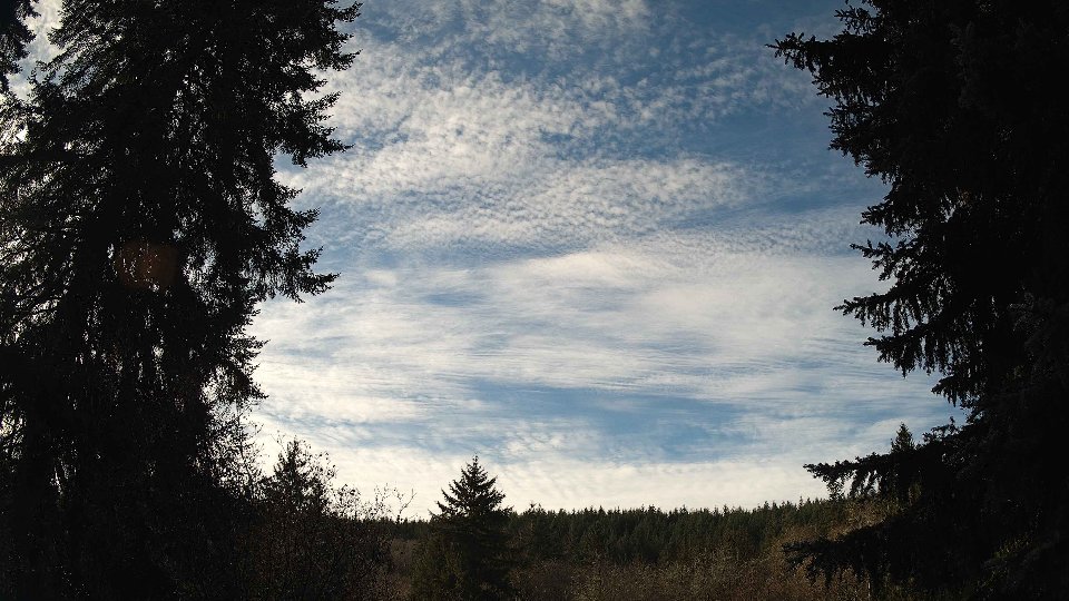 Pacific Northwest skyline timelapse on Nov 29, 2025 at 11:15 AM