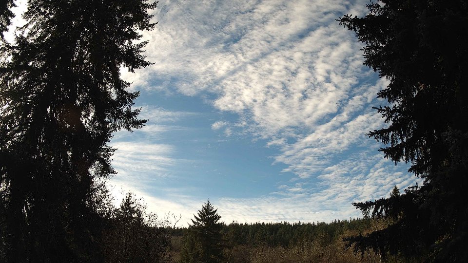 Pacific Northwest skyline timelapse on Nov 29, 2025 at 11:30 AM