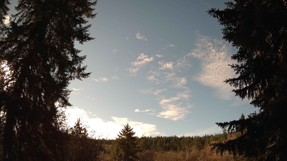 Pacific Northwest skyline timelapse on Nov 29, 2025 at 12:00 PM