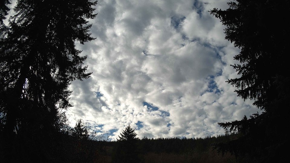 Pacific Northwest skyline timelapse on Nov 29, 2025 at 12:30 PM