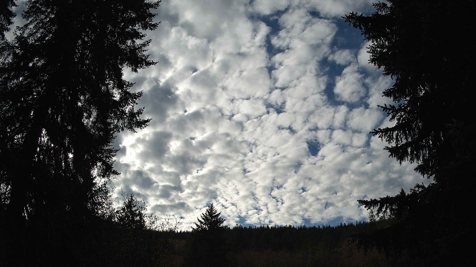 Pacific Northwest skyline timelapse on Nov 29, 2025 at 12:45 PM