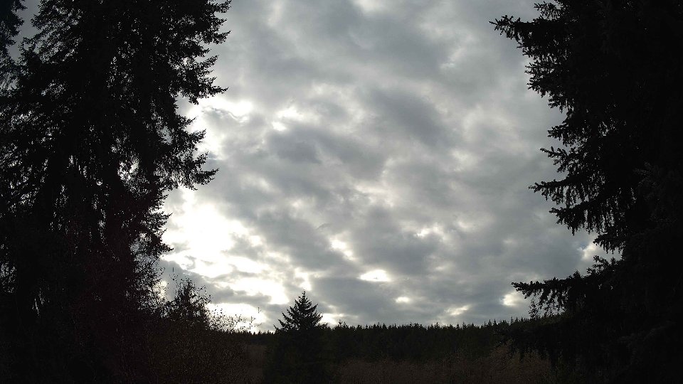 Pacific Northwest skyline timelapse on Nov 29, 2025 at 2:00 PM