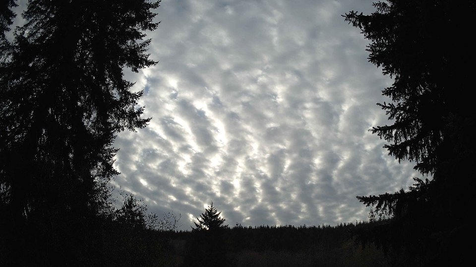 Pacific Northwest skyline timelapse on Nov 29, 2025 at 3:00 PM