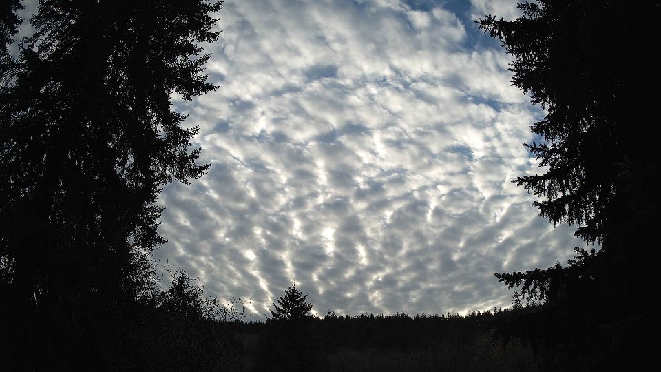 Pacific Northwest skyline timelapse on Nov 29, 2025 at 3:15 PM