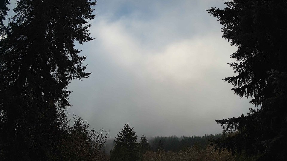 Pacific Northwest skyline timelapse on Nov 30, 2025 at 9:30 AM