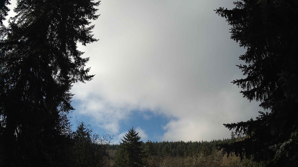 Pacific Northwest skyline timelapse on Nov 30, 2025 at 10:30 AM