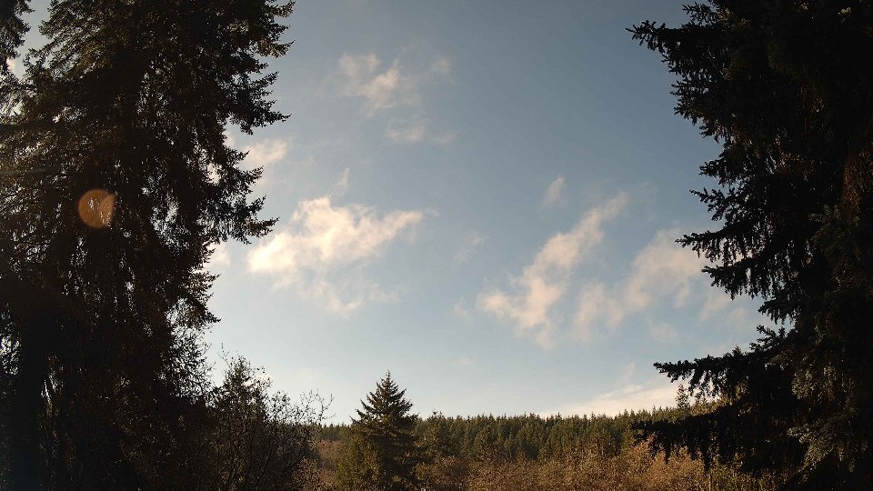 Pacific Northwest skyline timelapse on Nov 30, 2025 at 11:00 AM