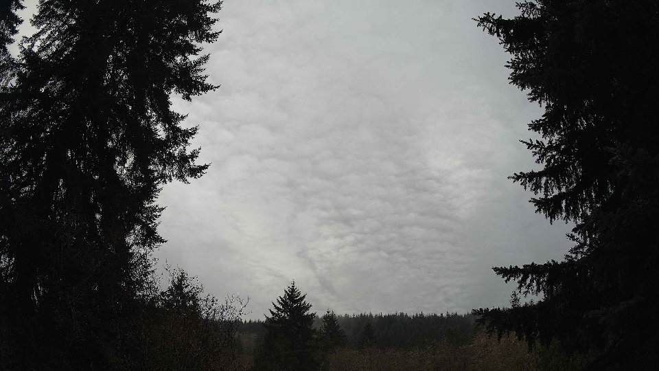 Pacific Northwest skyline timelapse on Dec 01, 2025 at 10:00 AM