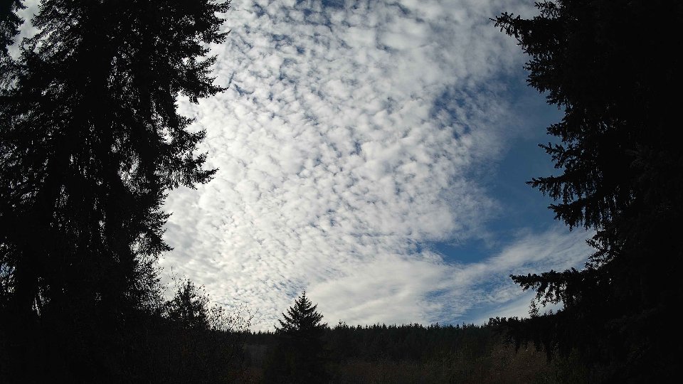Pacific Northwest skyline timelapse on Dec 01, 2025 at 11:15 AM
