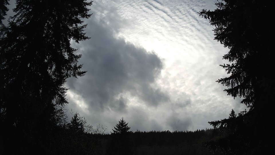 Pacific Northwest skyline timelapse on Dec 05, 2025 at 2:15 PM