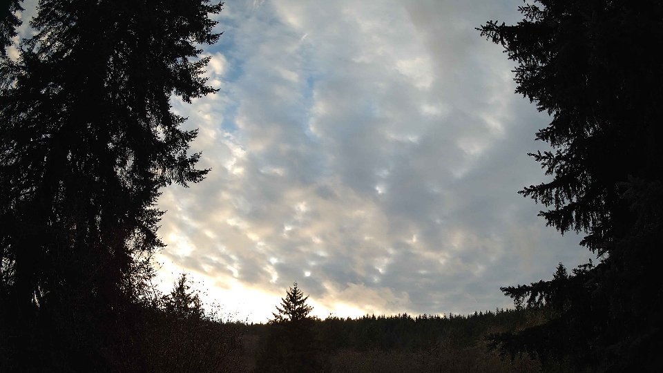 Pacific Northwest skyline timelapse on Dec 05, 2025 at 4:00 PM