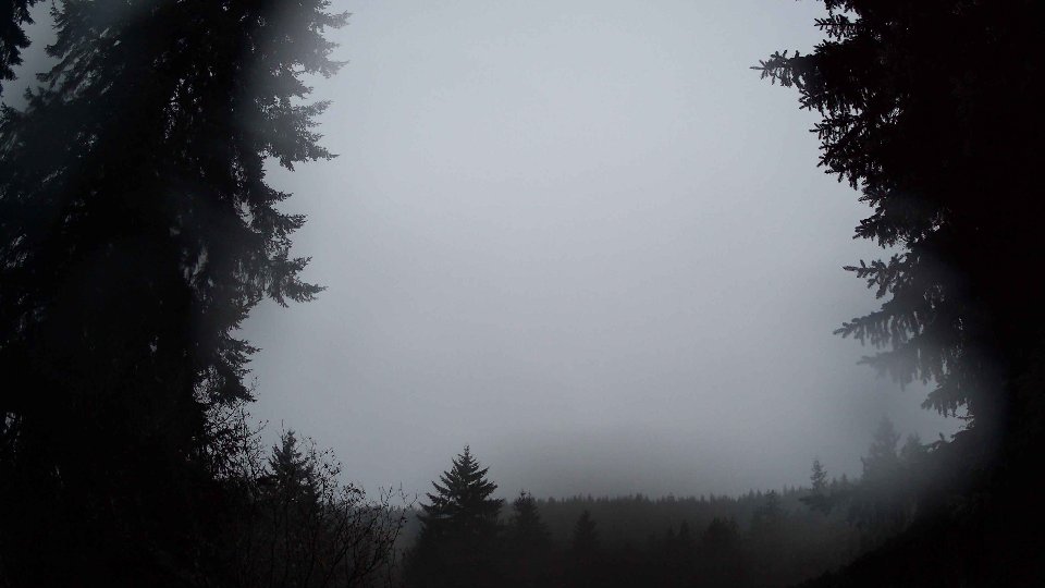 Pacific Northwest skyline timelapse on Dec 11, 2025 at 7:30 AM