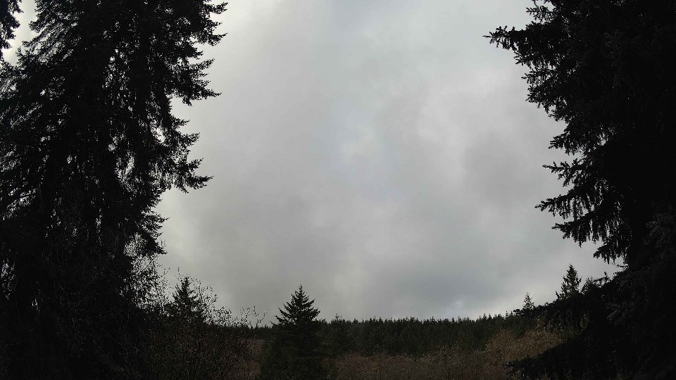 Pacific Northwest skyline timelapse on Dec 12, 2025 at 11:30 AM