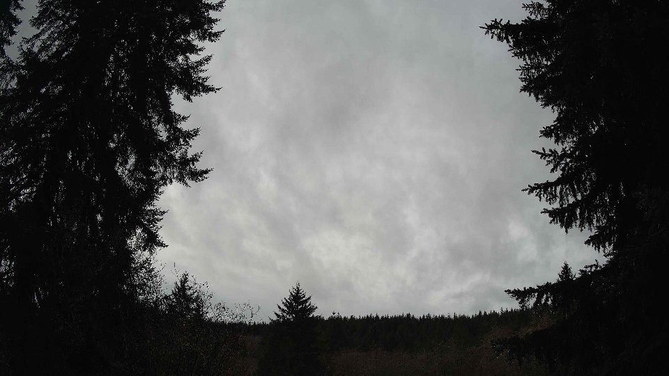 Pacific Northwest skyline timelapse frame from Dec 16th, 2025 at 11:00 AM