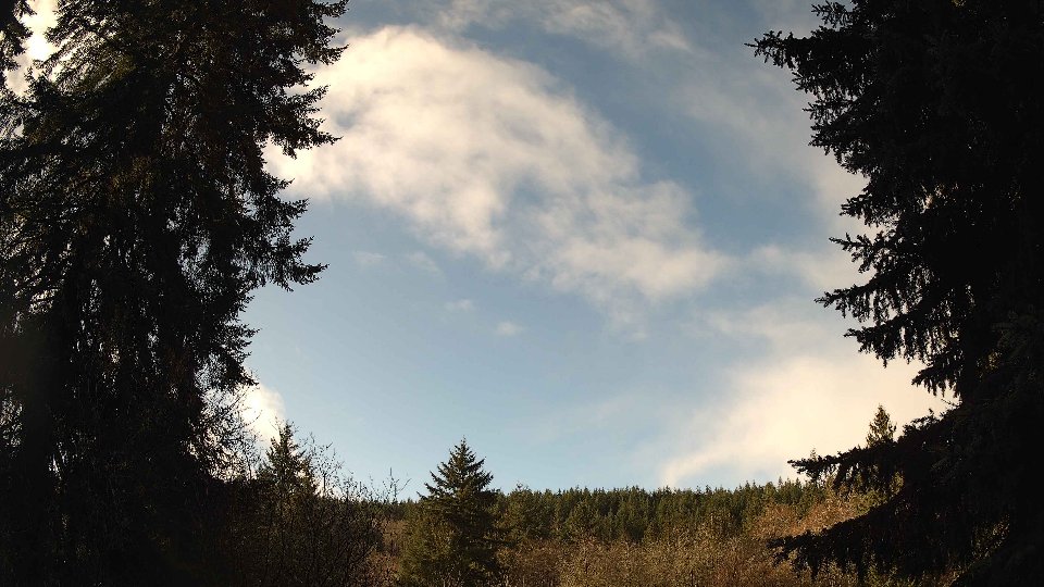 Pacific Northwest skyline timelapse frame from Dec 17th, 2025 at 5:15 AM