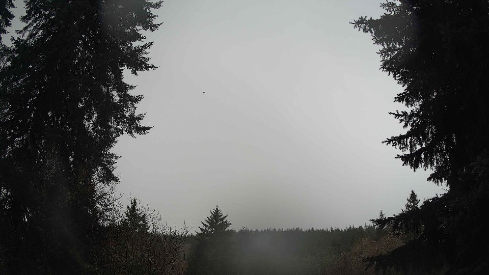 Pacific Northwest skyline timelapse frame from Dec 17th, 2025 at 7:30 AM