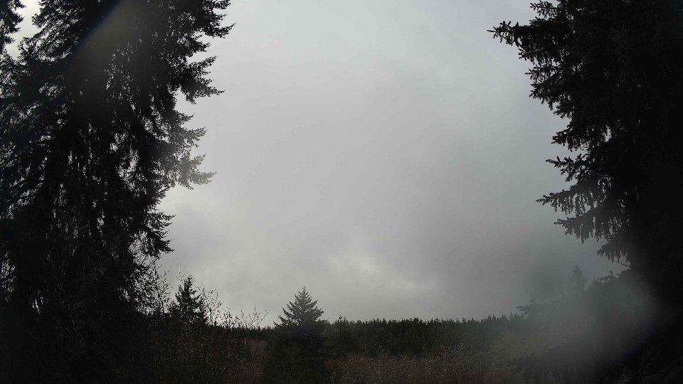Pacific Northwest skyline timelapse frame from Dec 20th, 2025 at 11:00 AM