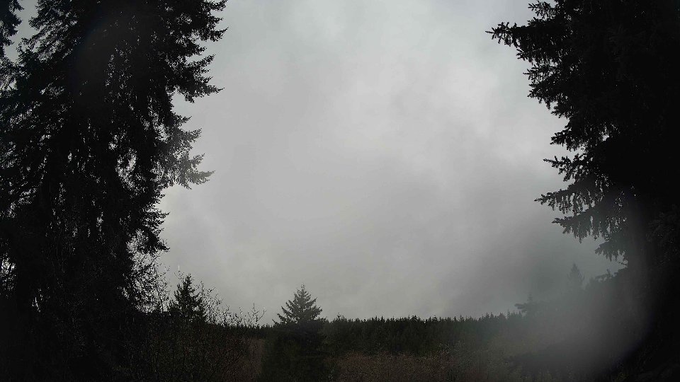 Pacific Northwest skyline timelapse frame from Dec 20th, 2025 at 11:15 AM