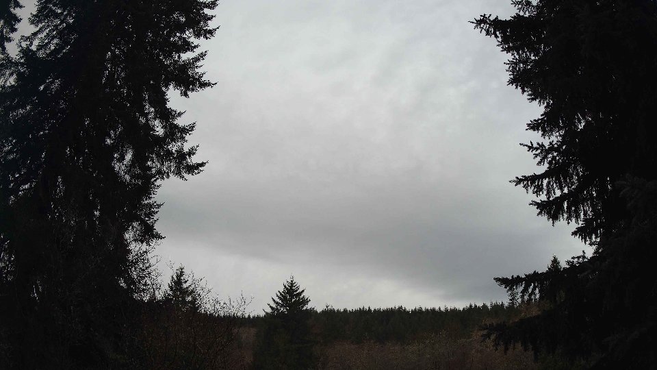 Pacific Northwest skyline timelapse frame from Dec 21st, 2025 at 8:00 AM