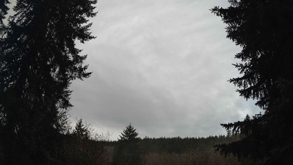 Pacific Northwest skyline timelapse frame from Dec 21st, 2025 at 9:00 AM
