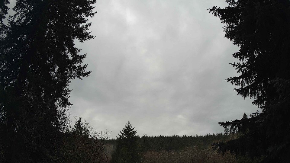 Pacific Northwest skyline timelapse frame from Dec 21st, 2025 at 9:30 AM