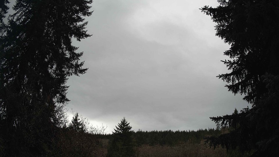 Pacific Northwest skyline timelapse frame from Dec 21st, 2025 at 11:30 AM