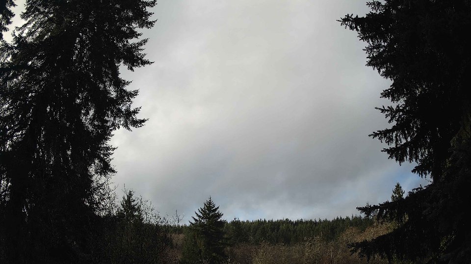 Pacific Northwest skyline timelapse frame from Dec 22nd, 2025 at 10:30 AM