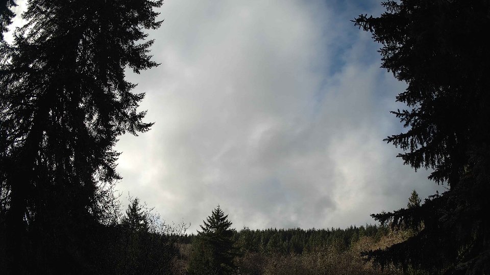 Pacific Northwest skyline timelapse frame from Dec 22nd, 2025 at 11:00 AM