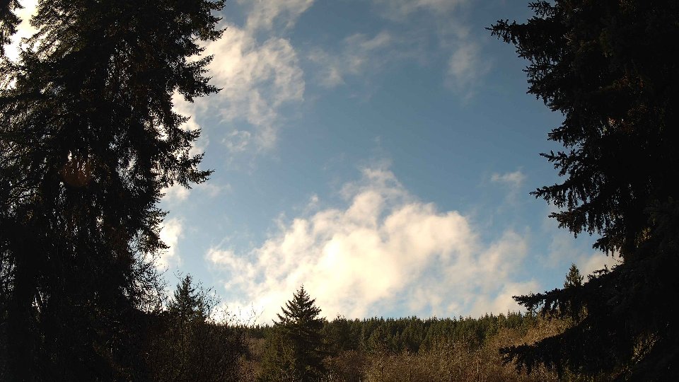Pacific Northwest skyline timelapse frame from Dec 22nd, 2025 at 11:15 AM