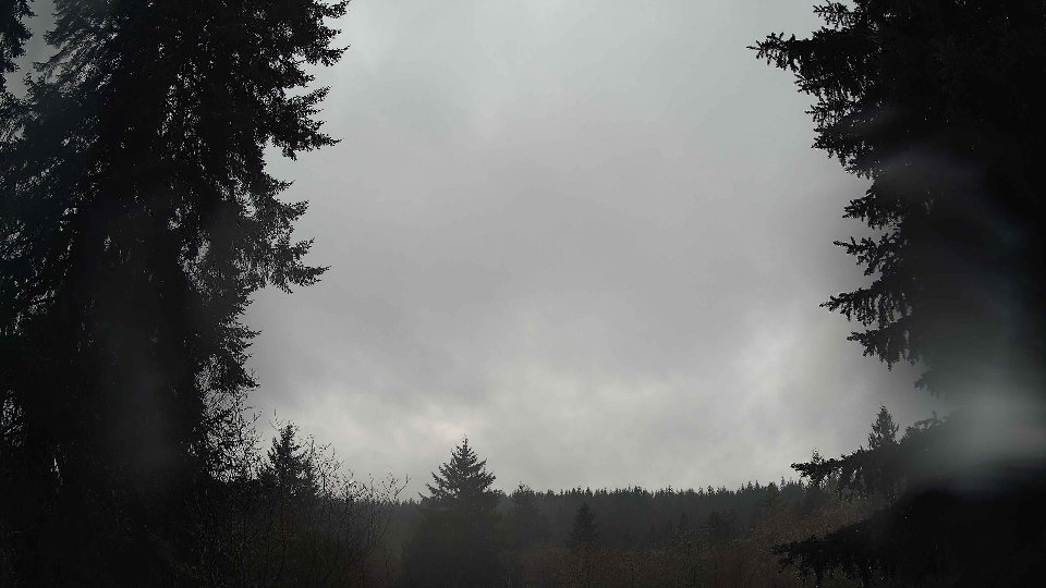 Pacific Northwest skyline timelapse frame from Dec 24th, 2025 at 9:00 AM