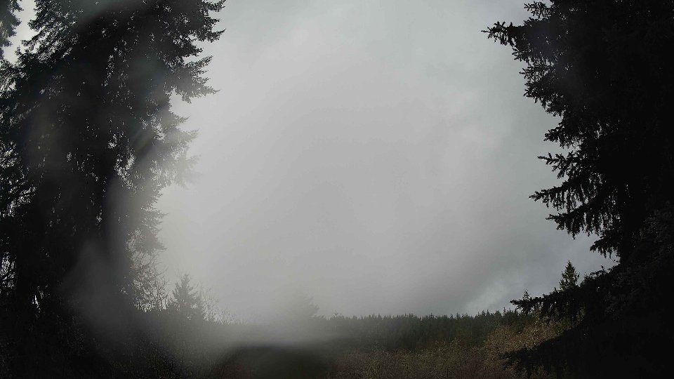 Pacific Northwest skyline timelapse frame from Dec 24th, 2025 at 11:00 AM