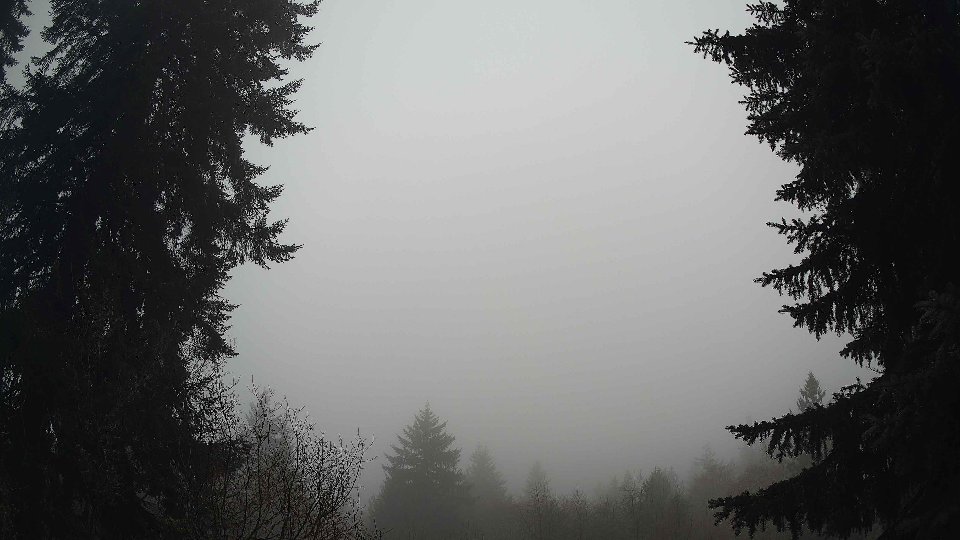 Pacific Northwest skyline timelapse frame from Dec 28th, 2025 at 8:15 AM