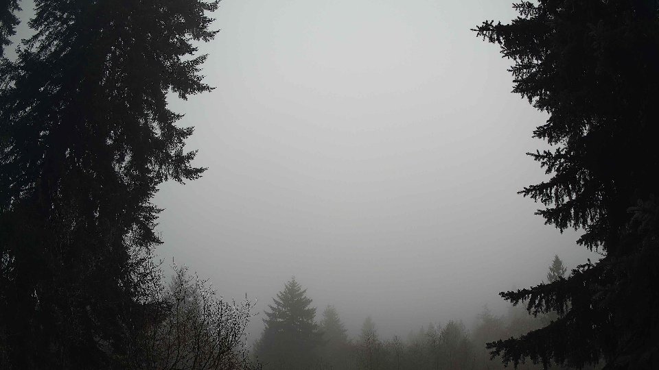 Pacific Northwest skyline timelapse frame from Dec 28th, 2025 at 8:30 AM
