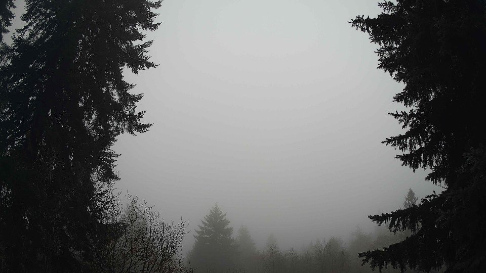 Pacific Northwest skyline timelapse frame from Dec 28th, 2025 at 8:45 AM