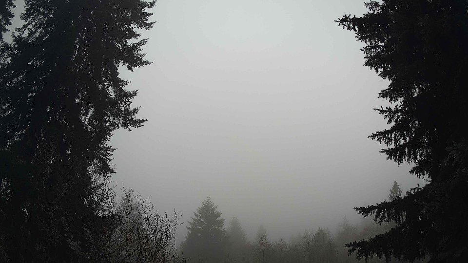 Pacific Northwest skyline timelapse frame from Dec 28th, 2025 at 9:00 AM