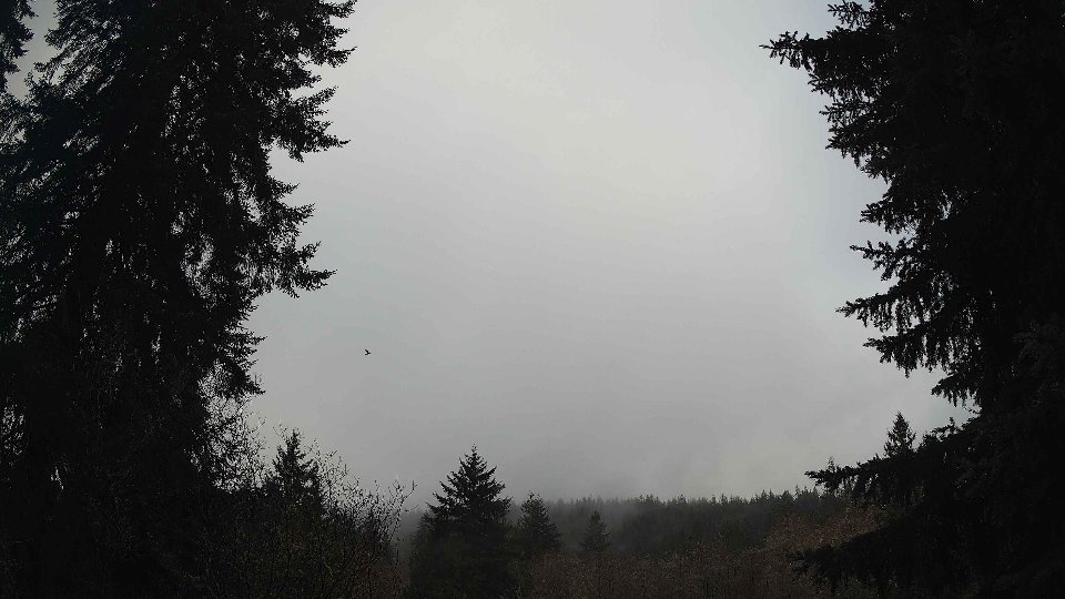 Pacific Northwest skyline timelapse frame from Dec 28th, 2025 at 10:30 AM